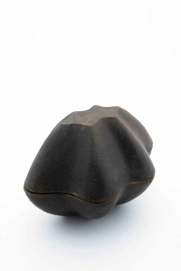 Dobbel form