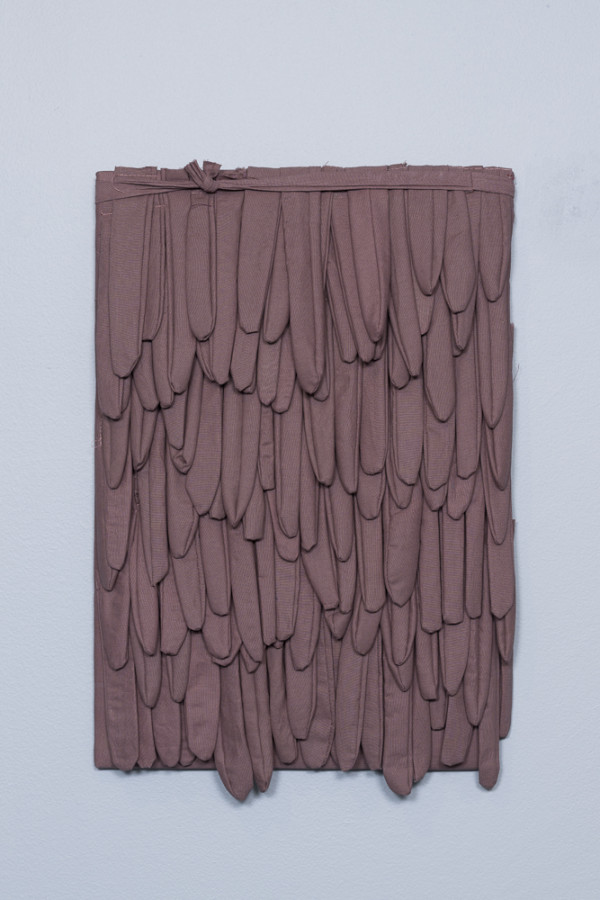 Forutinntatte antagelser (når alt vi vet blir fremmed)/plomme